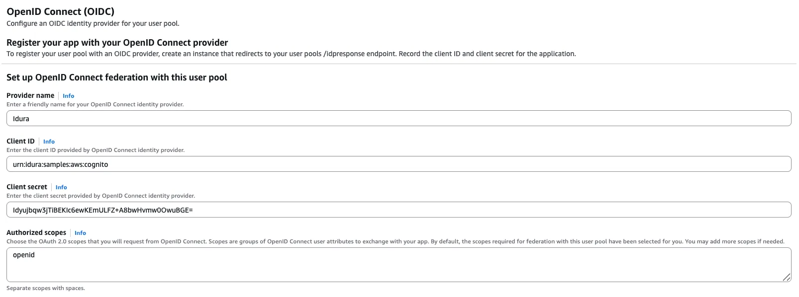 AWS Cognito Provider example