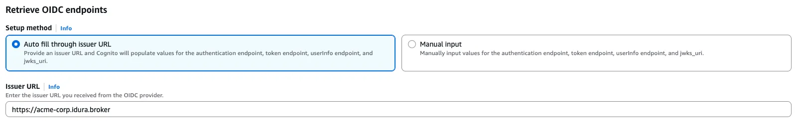AWS Cognito Provider example